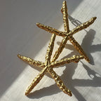 Étoile de Mer Set