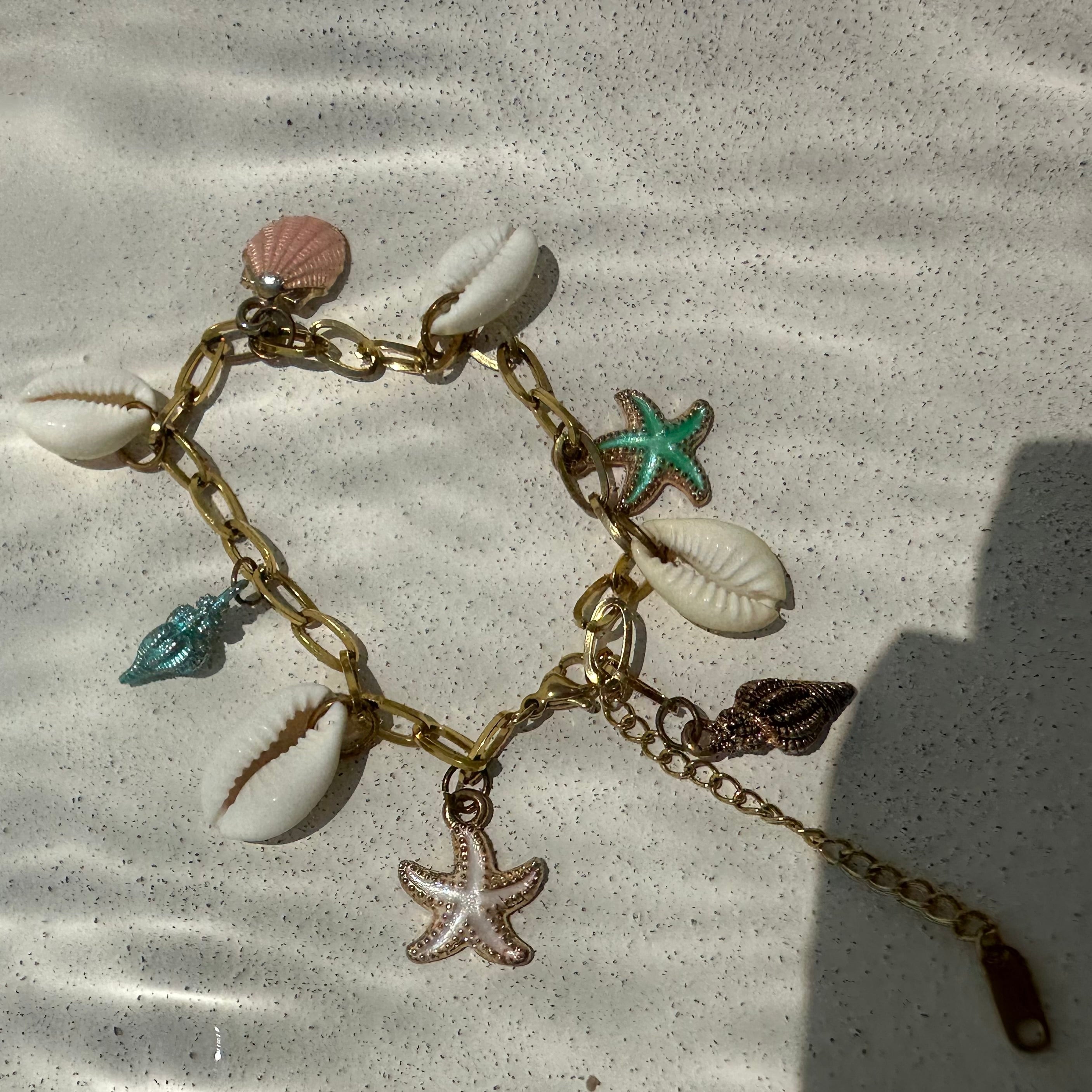 Seashell Anklet/bracelet